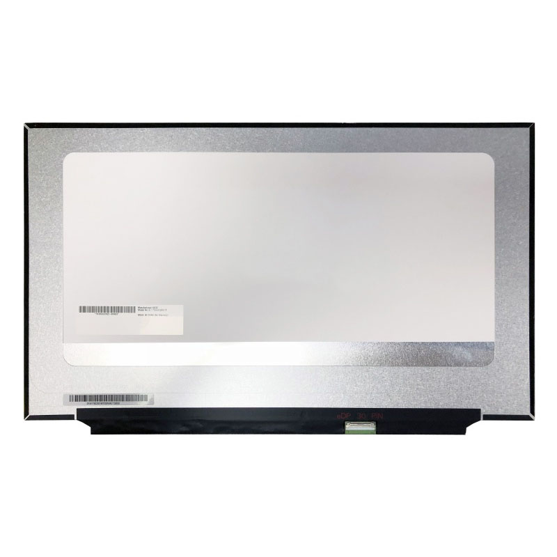 17.3 "IPS Laptop LCD Layar B173HAN04.2 72% NTSC FHD 1920x1080 30pin EDP